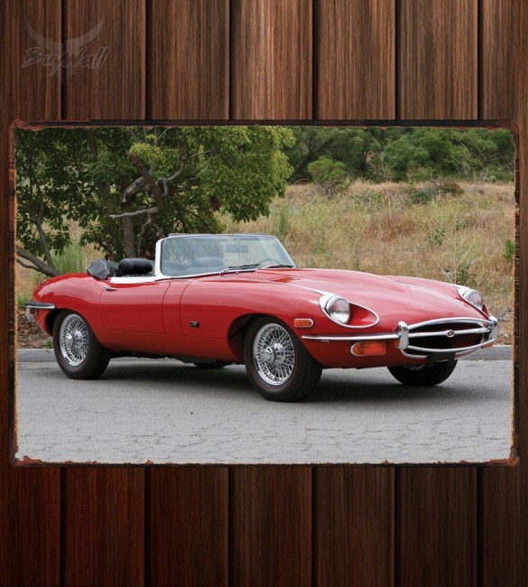 Металлическая табличка Jaguar E-Type Roadster (Series II) 341